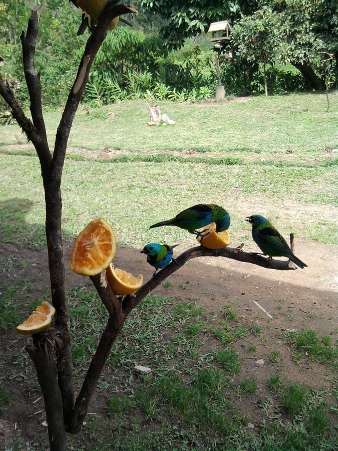 Pousada Signora Del Lago Sao Joao  外观 照片
